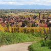 Quelles sont les meilleures entreprises de pergolas en Alsace ?
