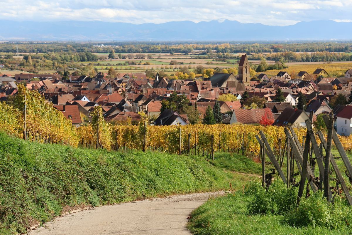 Quelles sont les meilleures entreprises de pergolas en Alsace ?