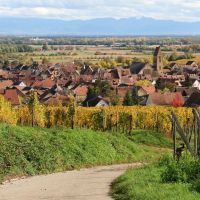 Quelles sont les meilleures entreprises de pergolas en Alsace ?