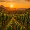 Alsace camping : nature, vins et détente