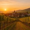 Alsace : escapade magique entre vignes et villages