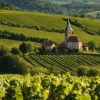 Découvrez le riche patrimoine de l'Alsace