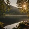 Alsace nature: découvrez ses secrets et merveilles