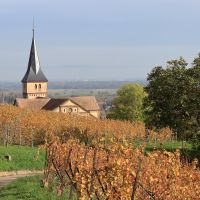 Le Crémant d'Alsace, un vin à prix abordable pour tous