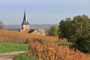 Le Crémant d'Alsace, un vin à prix abordable pour tous