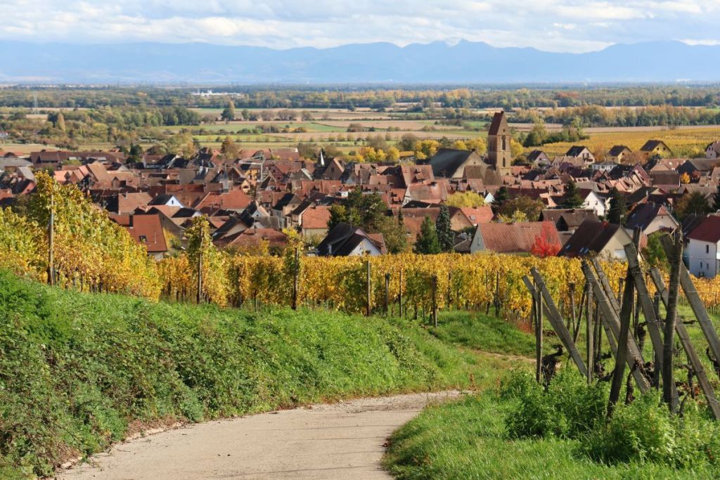 Quelles sont les meilleures entreprises de pergolas en Alsace ?