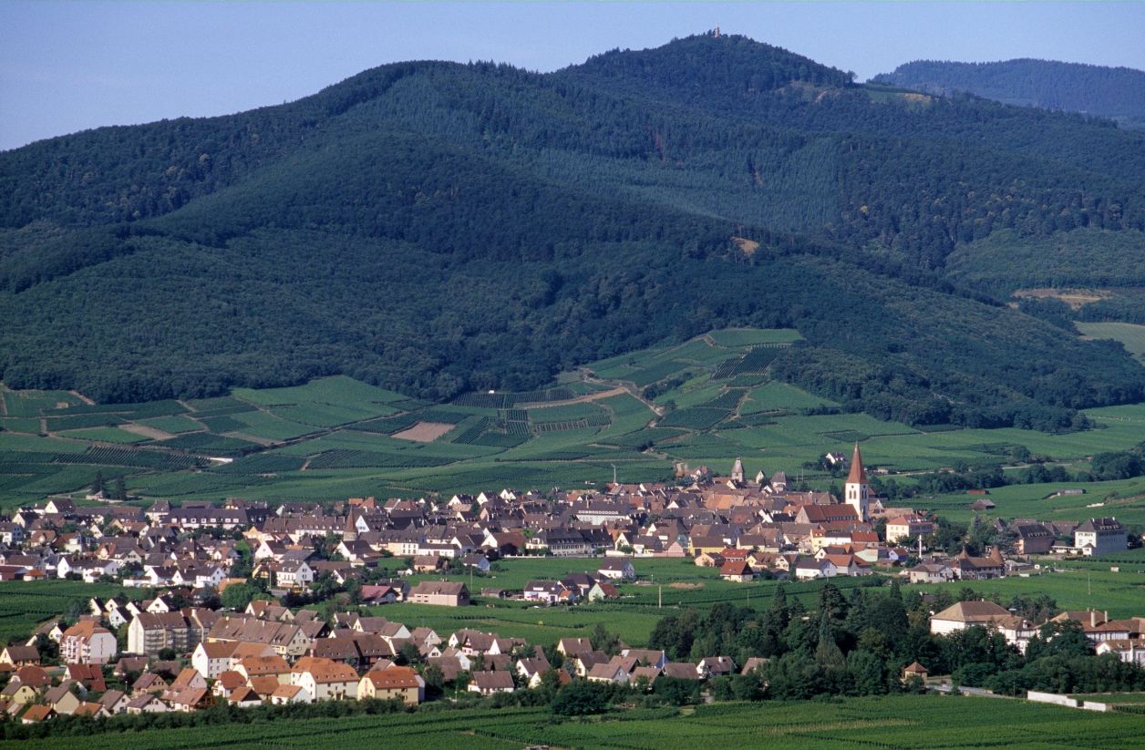 Guide vert Alsace : découvrir la culture de l'Alsace