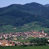 Guide vert Alsace : découvrir la culture de l'Alsace