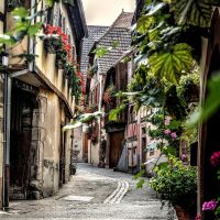La chevre qui rit Colmar - Un restaurant pour vos papilles