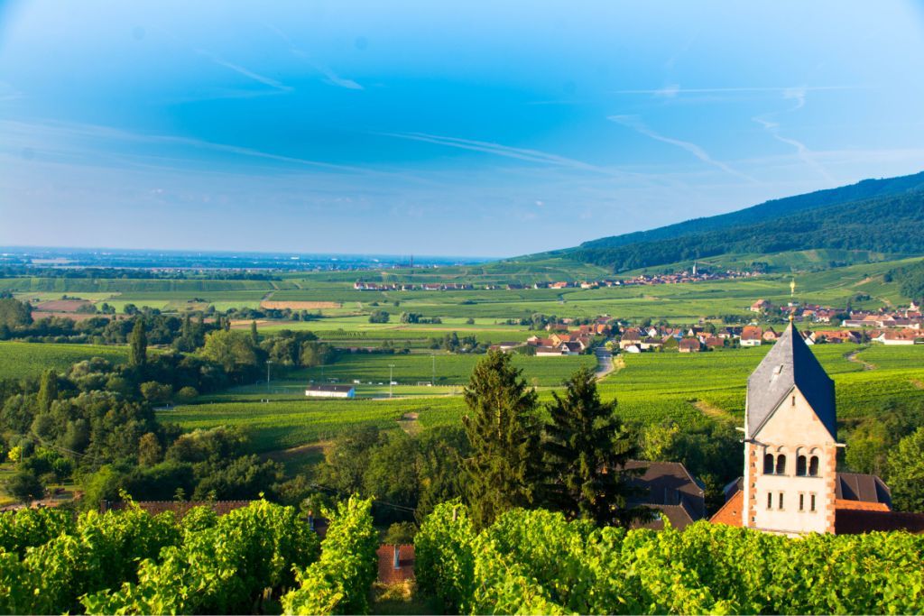 SEO en Alsace : les grandes villes où installer son agence