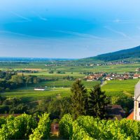 SEO en Alsace : les grandes villes où installer son agence