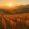 Découvrez l'Alsace, joyau du tourisme nature